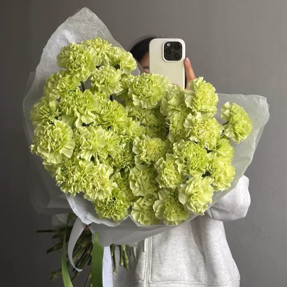 51 зеленая гвоздика — THE ÁME Flowers