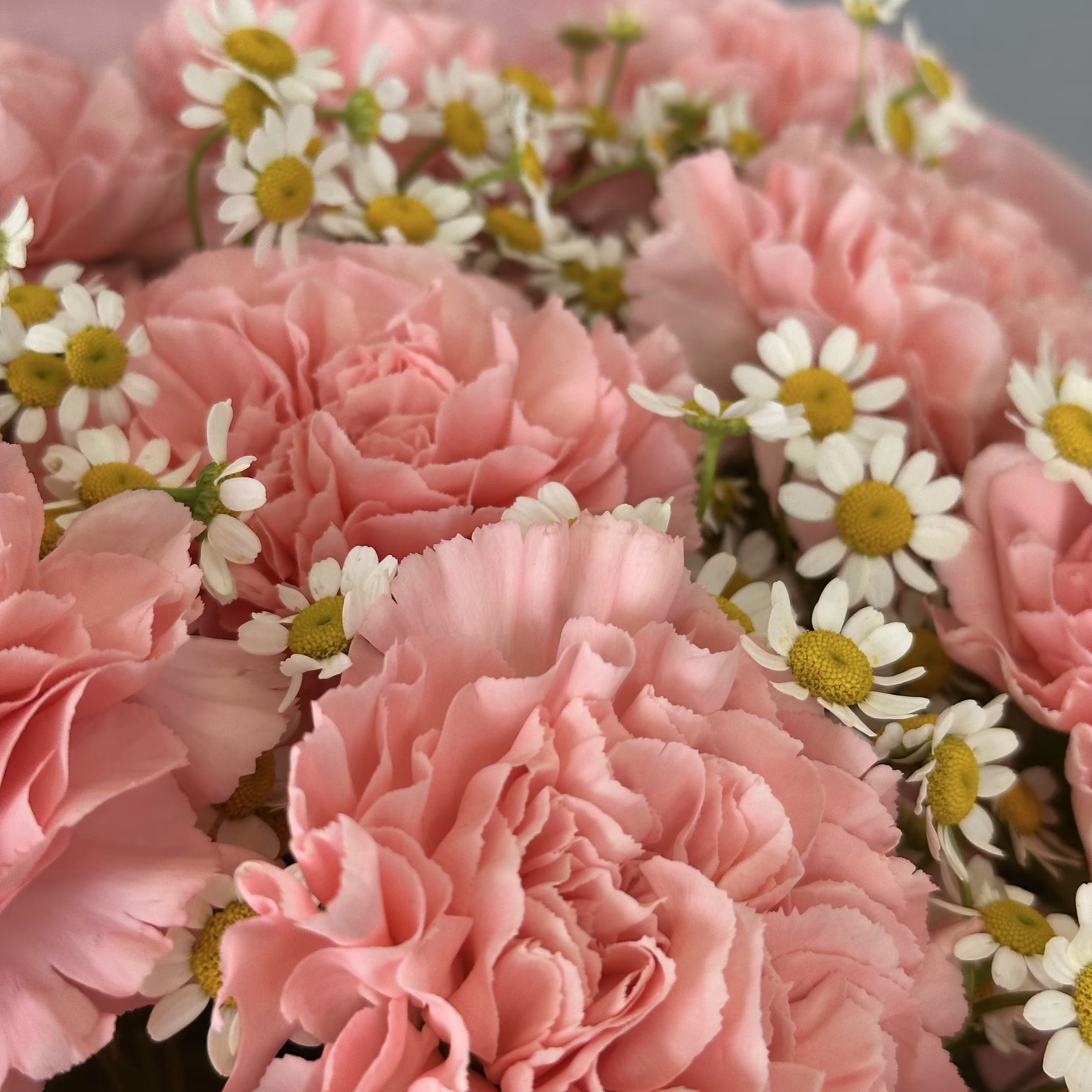 Авторский букет из ромашек и гвоздик для подруги в Сочи с доставкой за 1 час — фото 5