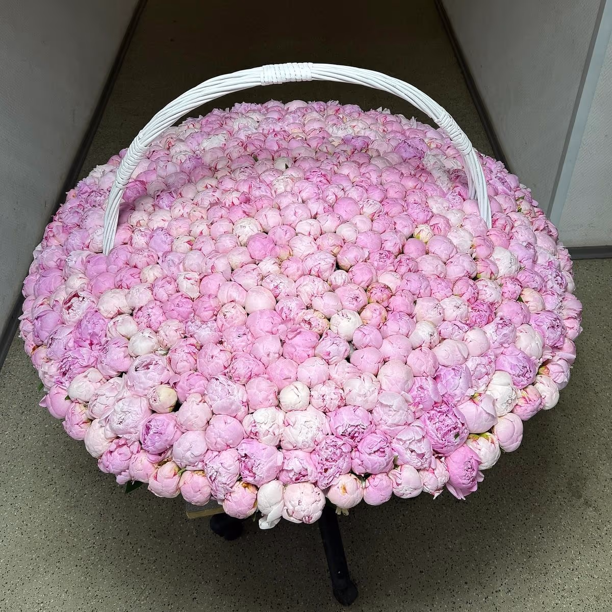 501 пион в корзине — THE ÁME Flowers
