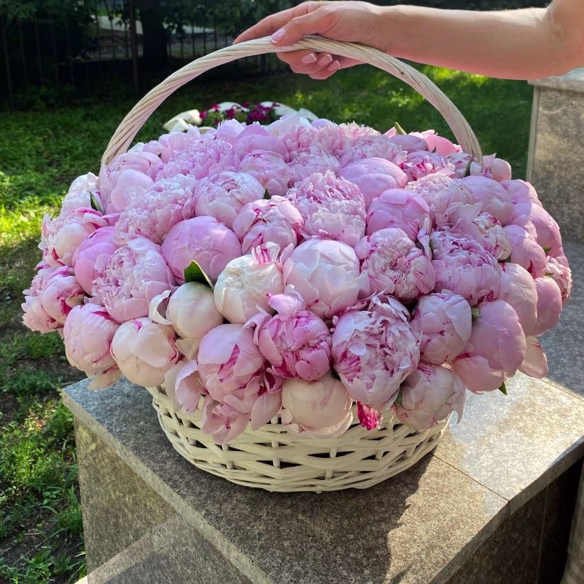 101 пион в корзине — THE ÁME Flowers
