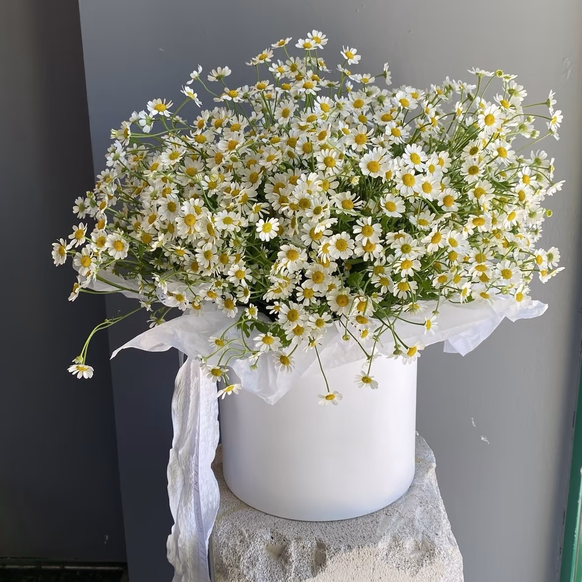 31 ромашка в коробке — THE ÁME Flowers