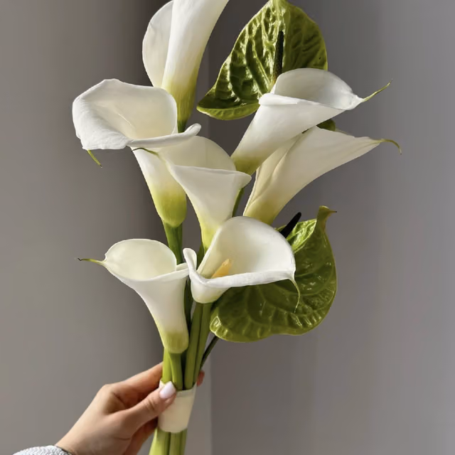 Букет невесты из белых калл и зеленых антуриумов — THE ÁME Flowers
